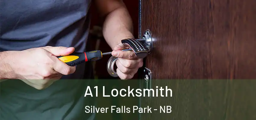  A1 Locksmith Silver Falls Park - NB