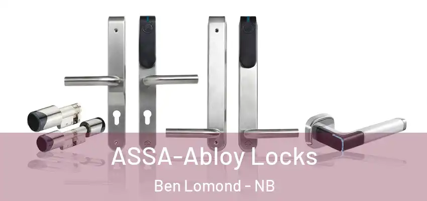  ASSA-Abloy Locks Ben Lomond - NB