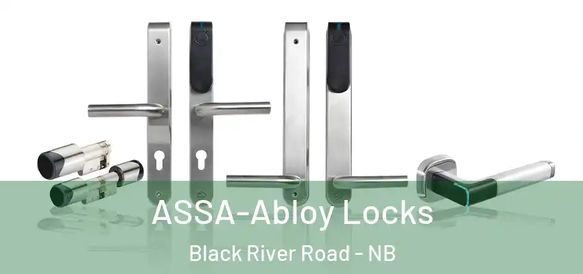  ASSA-Abloy Locks Black River Road - NB