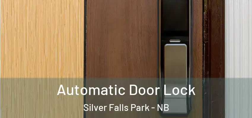  Automatic Door Lock Silver Falls Park - NB