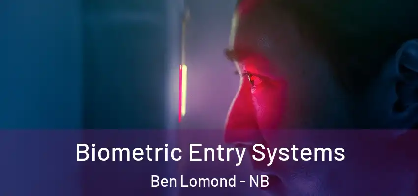  Biometric Entry Systems Ben Lomond - NB