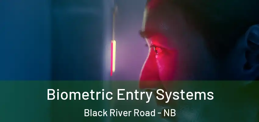  Biometric Entry Systems Black River Road - NB