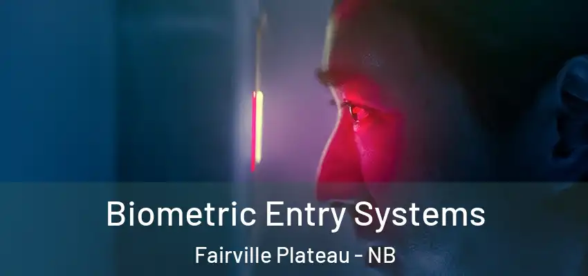  Biometric Entry Systems Fairville Plateau - NB