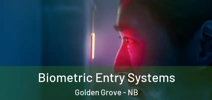  Biometric Entry Systems Golden Grove - NB
