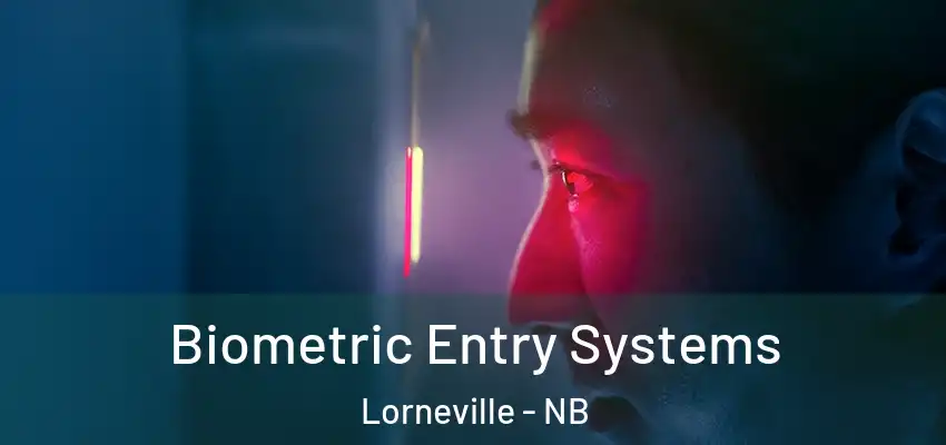  Biometric Entry Systems Lorneville - NB