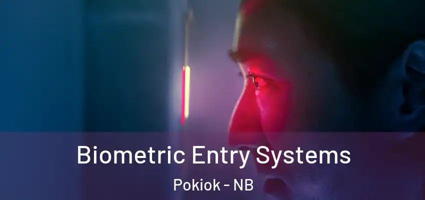  Biometric Entry Systems Pokiok - NB