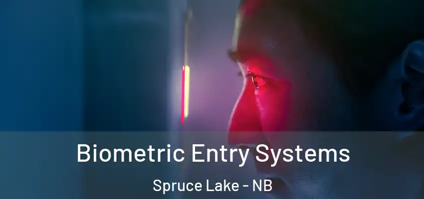  Biometric Entry Systems Spruce Lake - NB