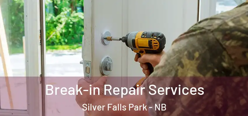  Break-in Repair Services Silver Falls Park - NB