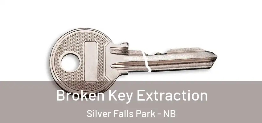  Broken Key Extraction Silver Falls Park - NB