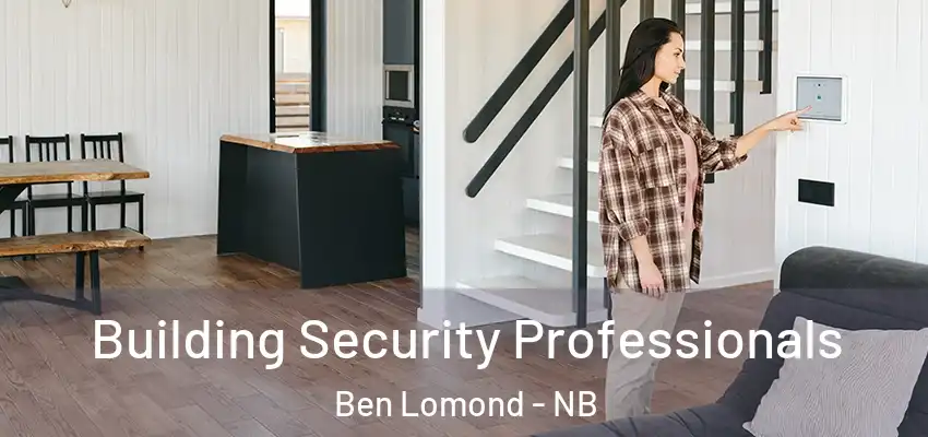  Building Security Professionals Ben Lomond - NB