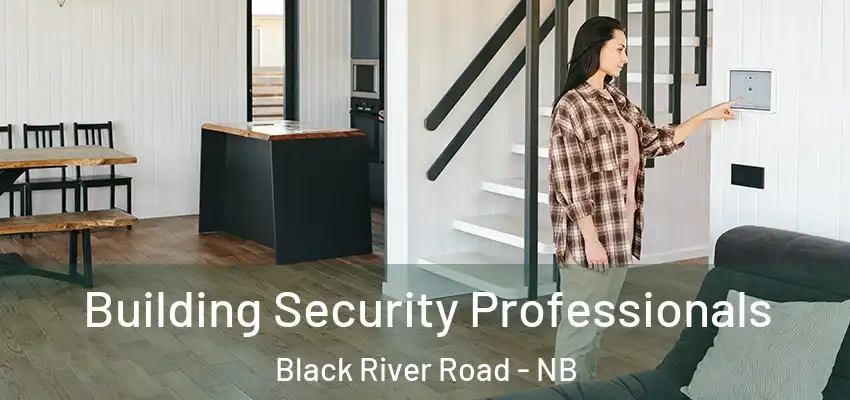  Building Security Professionals Black River Road - NB
