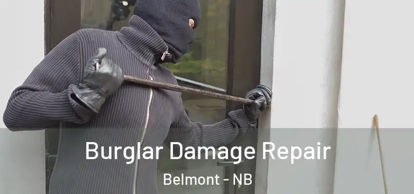  Burglar Damage Repair Belmont - NB