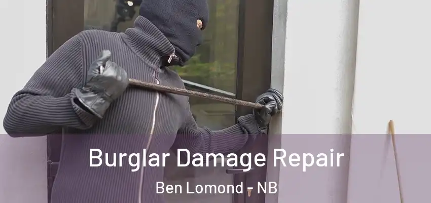  Burglar Damage Repair Ben Lomond - NB