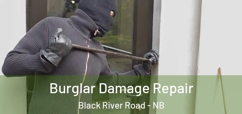  Burglar Damage Repair Black River Road - NB
