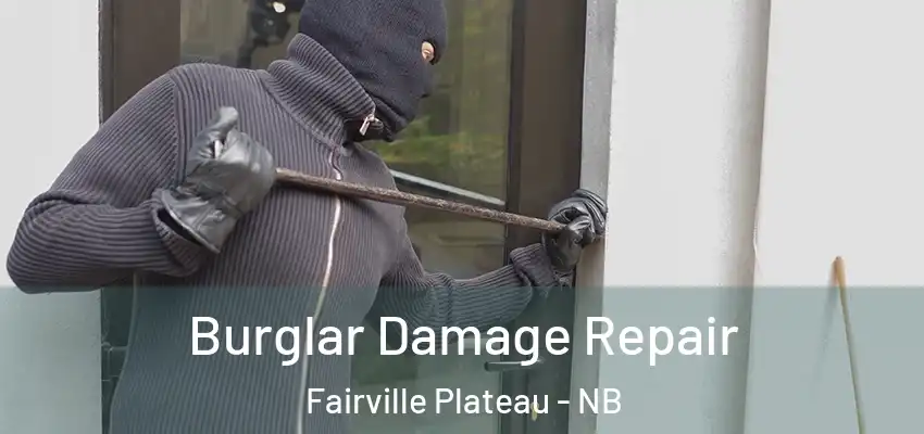  Burglar Damage Repair Fairville Plateau - NB