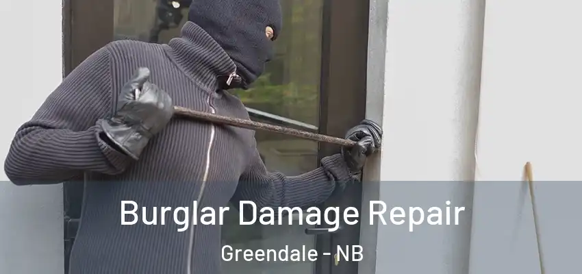  Burglar Damage Repair Greendale - NB