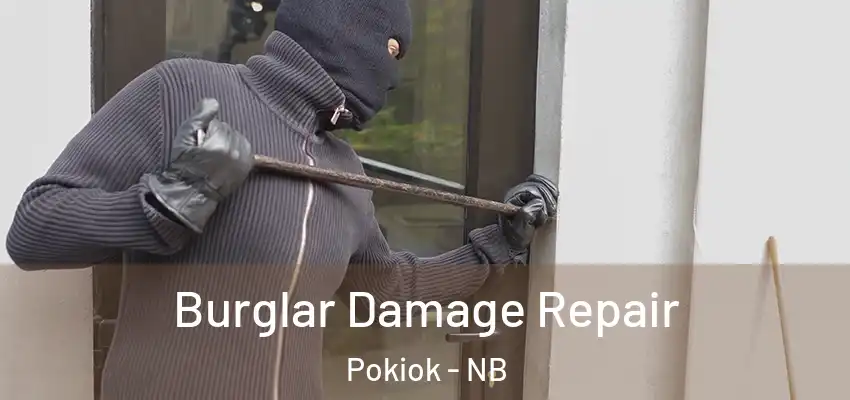  Burglar Damage Repair Pokiok - NB