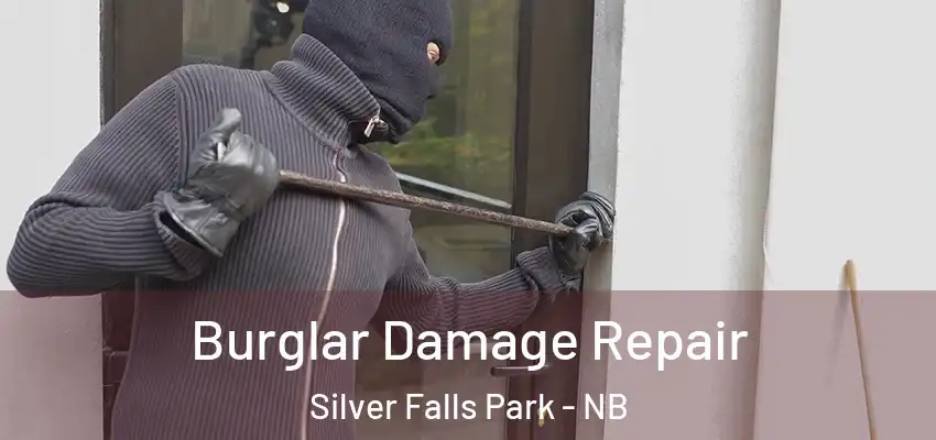  Burglar Damage Repair Silver Falls Park - NB