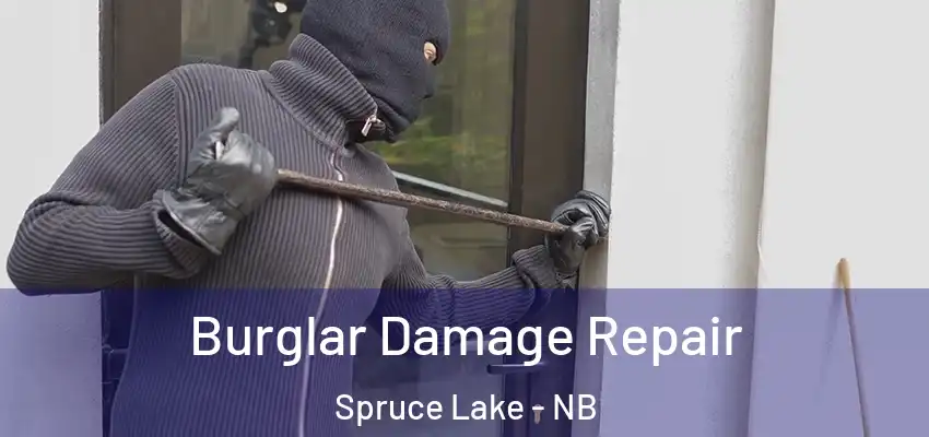  Burglar Damage Repair Spruce Lake - NB