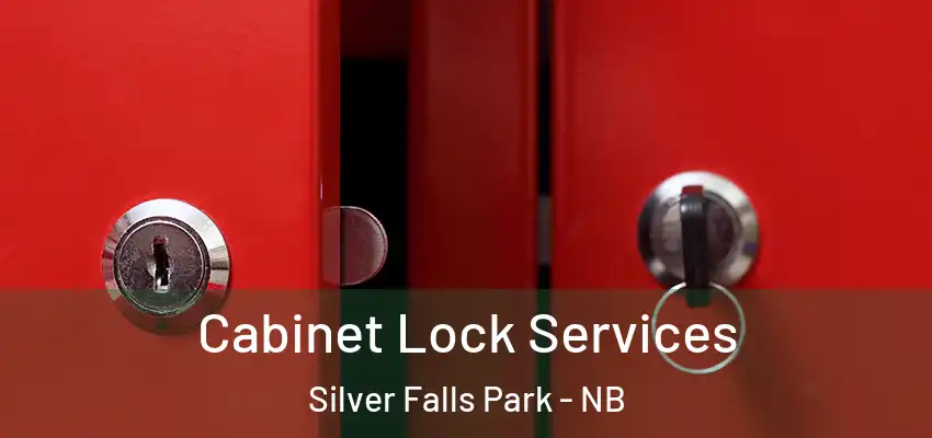  Cabinet Lock Services Silver Falls Park - NB