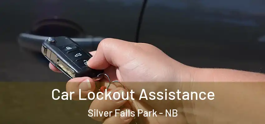  Car Lockout Assistance Silver Falls Park - NB