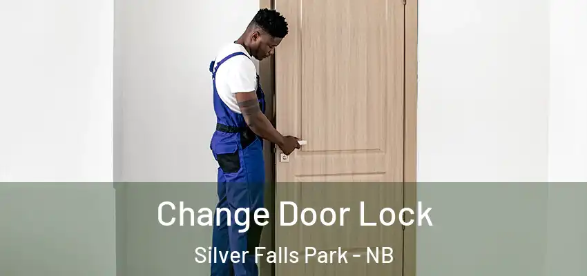  Change Door Lock Silver Falls Park - NB