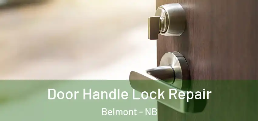  Door Handle Lock Repair Belmont - NB
