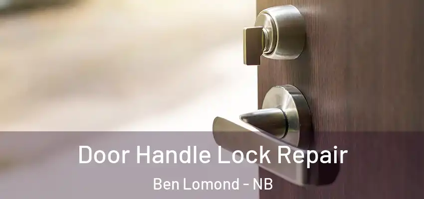 Door Handle Lock Repair Ben Lomond - NB