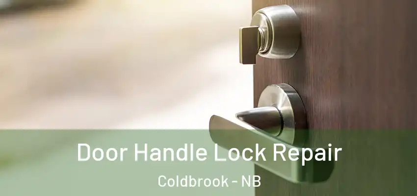  Door Handle Lock Repair Coldbrook - NB
