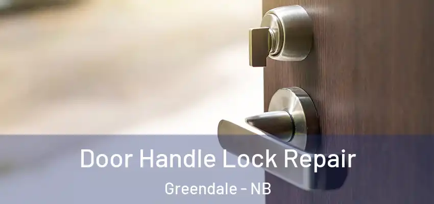  Door Handle Lock Repair Greendale - NB