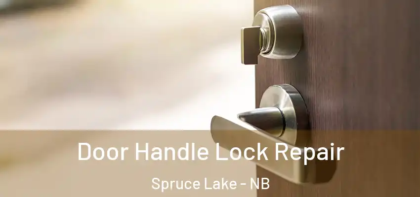  Door Handle Lock Repair Spruce Lake - NB