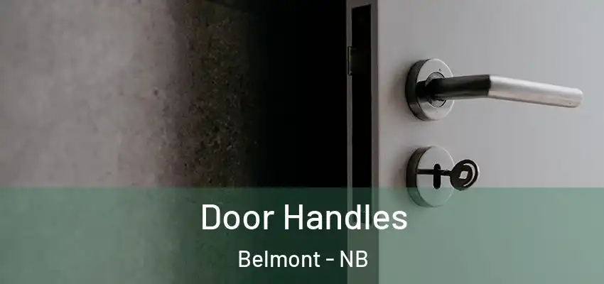  Door Handles Belmont - NB