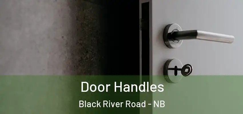  Door Handles Black River Road - NB