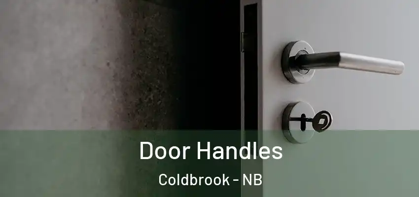  Door Handles Coldbrook - NB