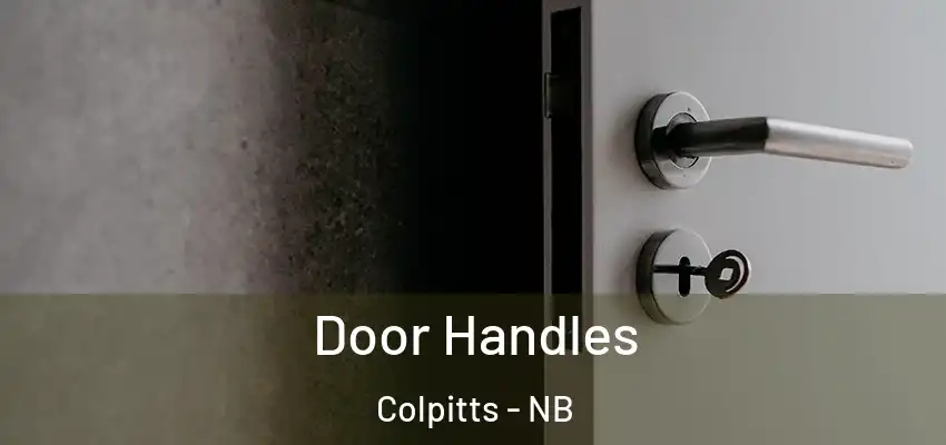  Door Handles Colpitts - NB