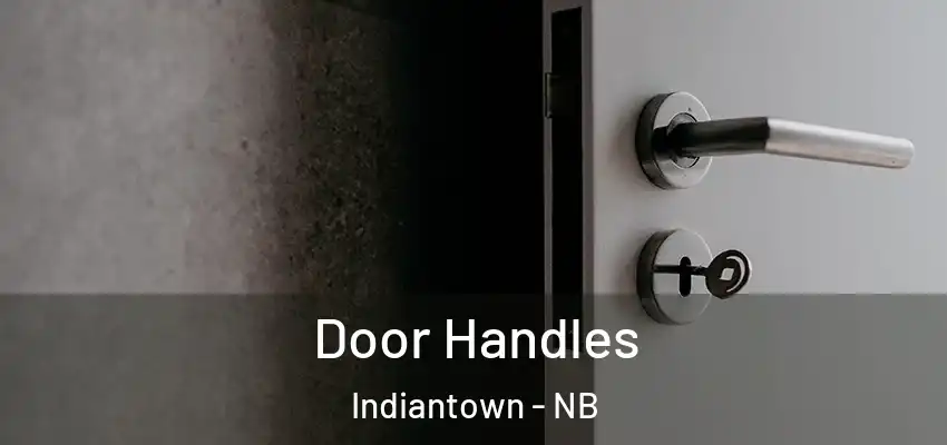  Door Handles Indiantown - NB