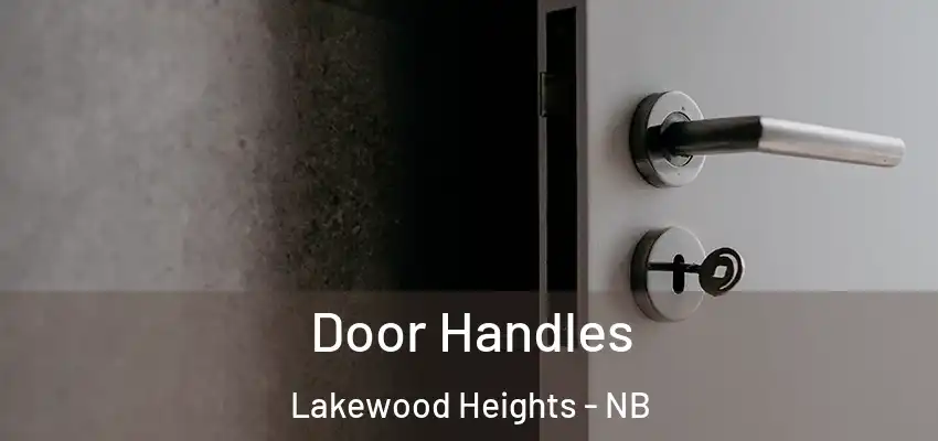  Door Handles Lakewood Heights - NB