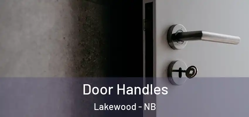  Door Handles Lakewood - NB