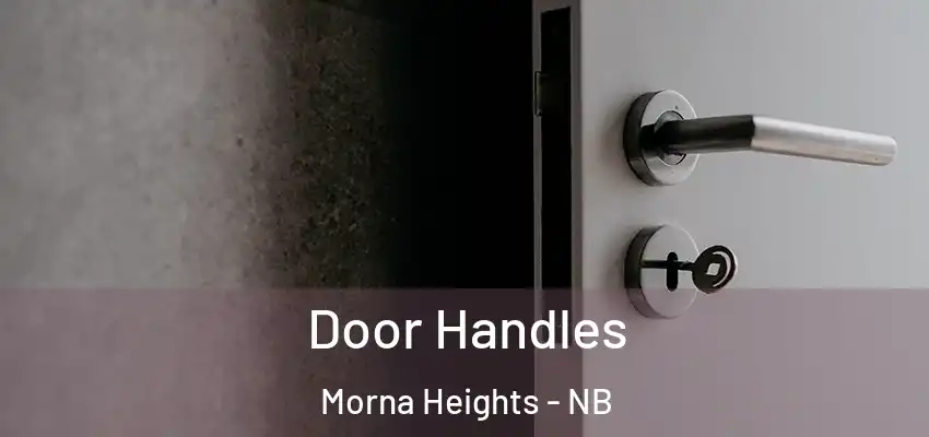  Door Handles Morna Heights - NB