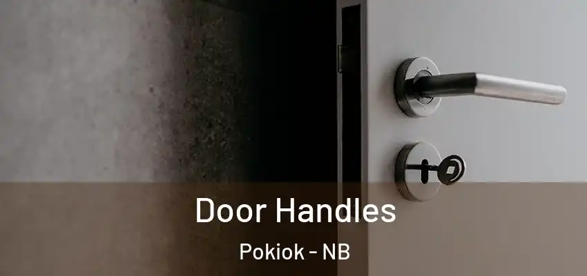  Door Handles Pokiok - NB