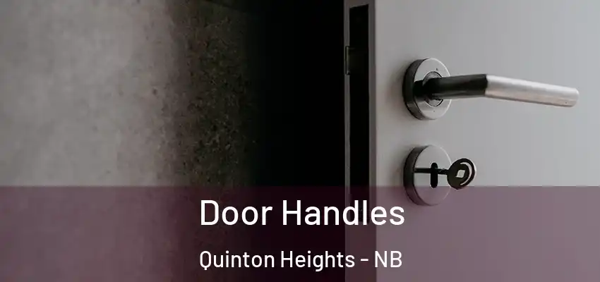  Door Handles Quinton Heights - NB