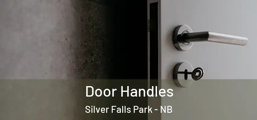  Door Handles Silver Falls Park - NB