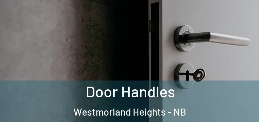  Door Handles Westmorland Heights - NB