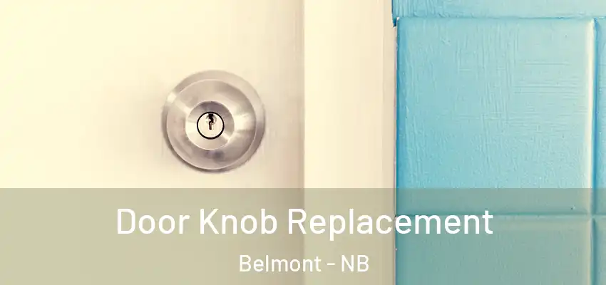  Door Knob Replacement Belmont - NB