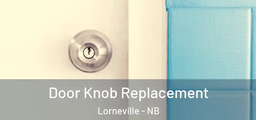  Door Knob Replacement Lorneville - NB