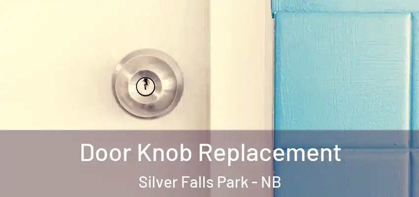  Door Knob Replacement Silver Falls Park - NB