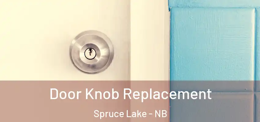  Door Knob Replacement Spruce Lake - NB