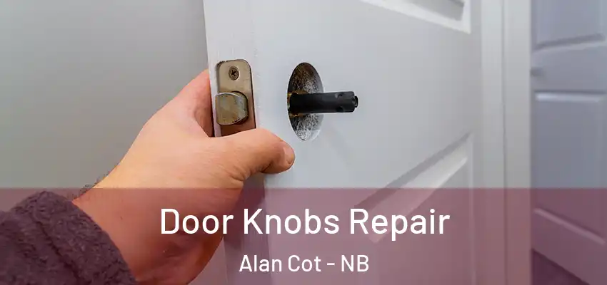  Door Knobs Repair Alan Cot - NB