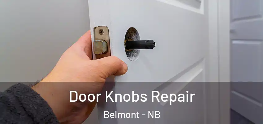  Door Knobs Repair Belmont - NB
