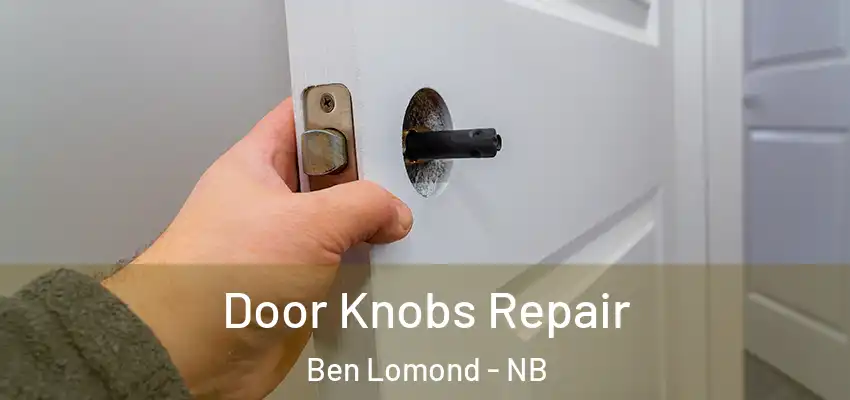  Door Knobs Repair Ben Lomond - NB